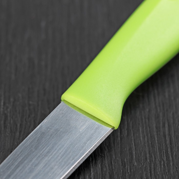 Нож "Пикник" лезвие 9,5 см