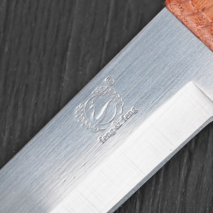 Нож "Профессионал" лезвие 12 см