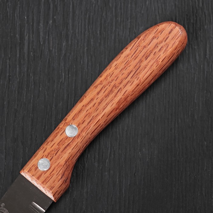 Нож "Профессионал" лезвие 12 см