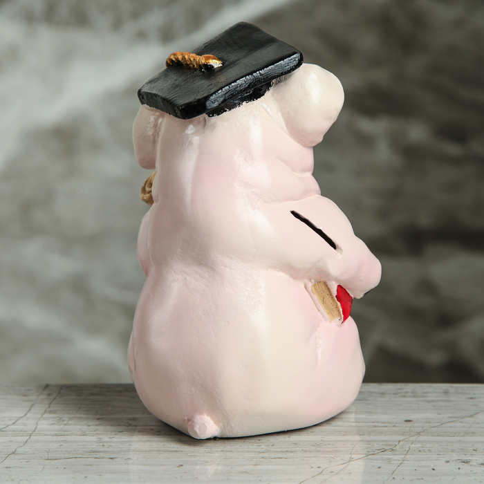 Копилка "Свинка магистр" 17 см