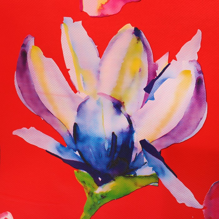 Пакет из нетканного материала 43 х 14 х 49 см