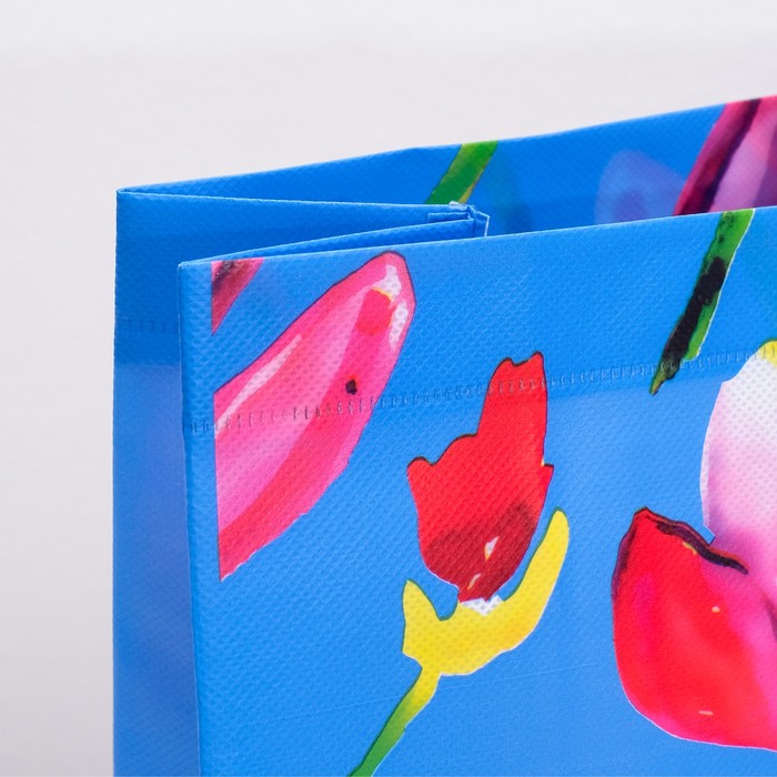 Пакет из нетканного материала 43 х 14 х 49 см