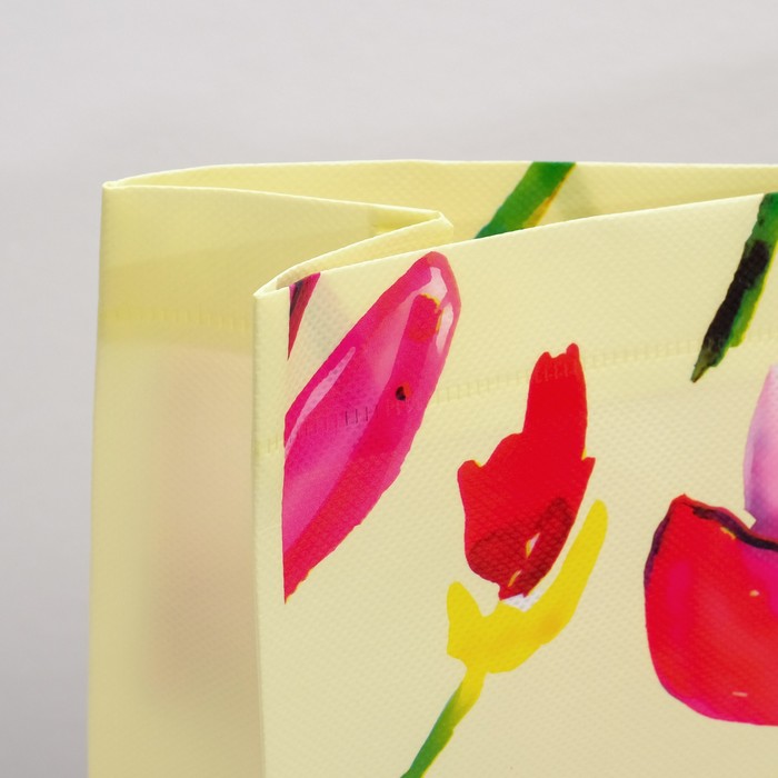 Пакет из нетканного материала 43 х 14 х 49 см