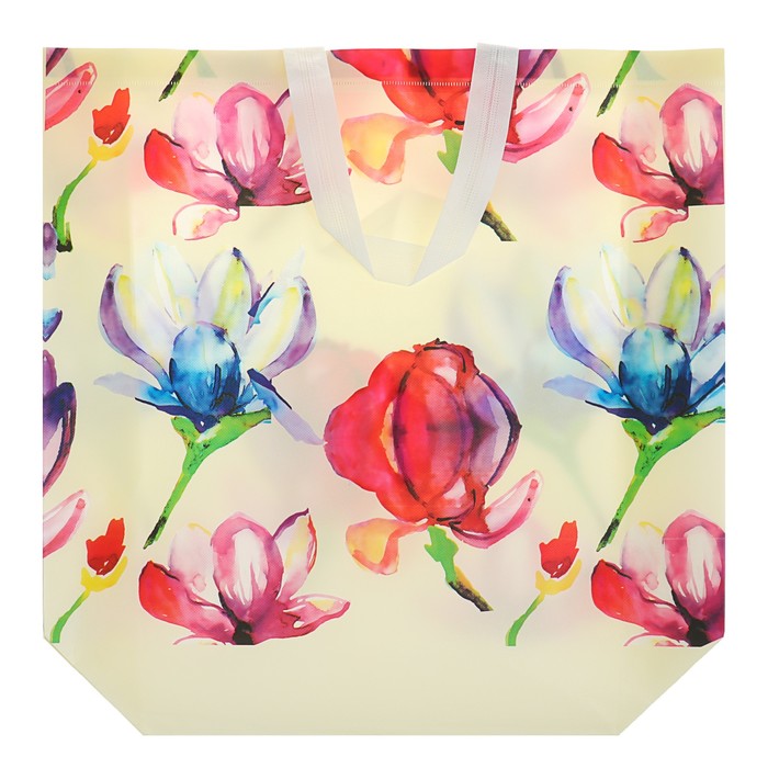 Пакет из нетканного материала 43 х 14 х 49 см