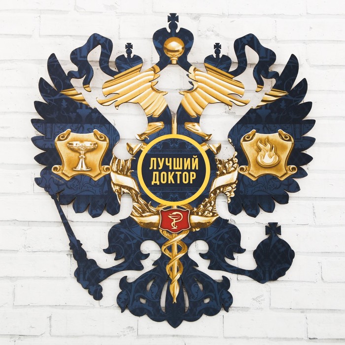 Герб настенный "Лучший доктор", 22,5 х 25 см
