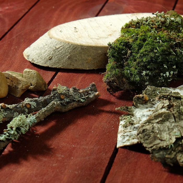 Набор для творчества «Россыпь Тайги»: береста, палочки, кочка моховая, косой спил, галька