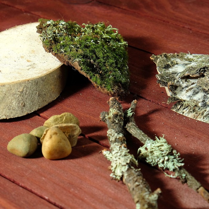 Набор для творчества «Россыпь Тайги»: береста, палочки, кочка моховая, косой спил, галька