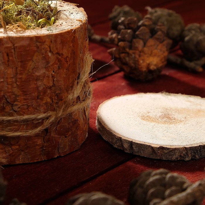 Набор для творчества «Фантазия»: кашпо, мох, спил, сосновые шишки, палочки лиственницы с шиш 39086