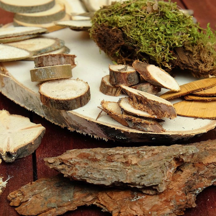 Набор для творчества «Эко-4»: спилы ясеня, косой спил берёзы, кора, мох, можжевельник 2х вид 39086