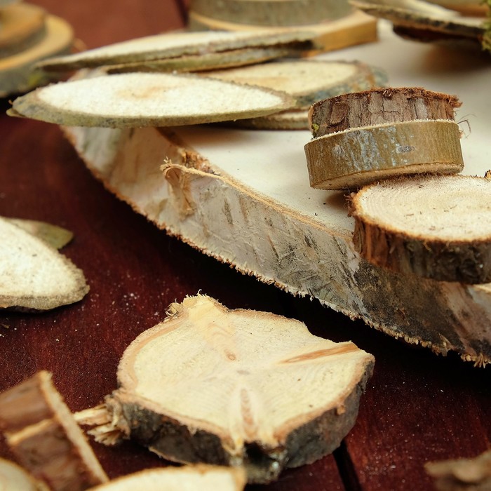 Набор для творчества «Эко-4»: спилы ясеня, косой спил берёзы, кора, мох, можжевельник 2х вид 39086