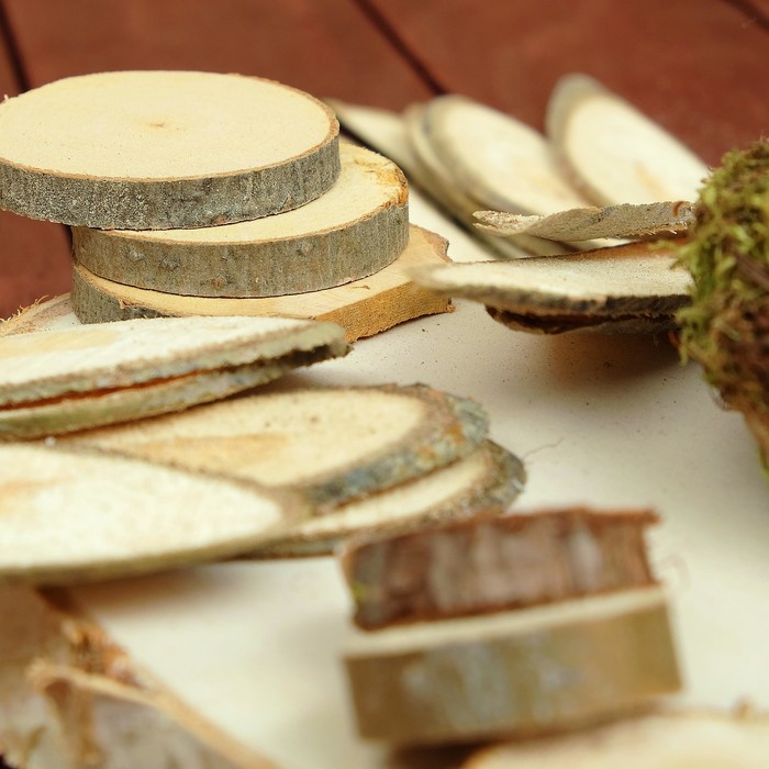 Набор для творчества «Эко-4»: спилы ясеня, косой спил берёзы, кора, мох, можжевельник 2х вид 39086