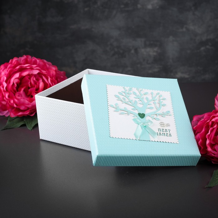 Набор квадратных коробок 2в1, 19 х 19 х 10,8 - 17 х 17 х 9,3 см, цвет голубой