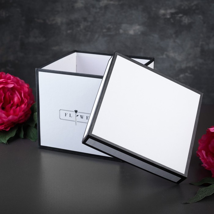 Набор коробок 2в1, 20 х 20 х 17 - 18 х 18 х 16 см, цвет белый