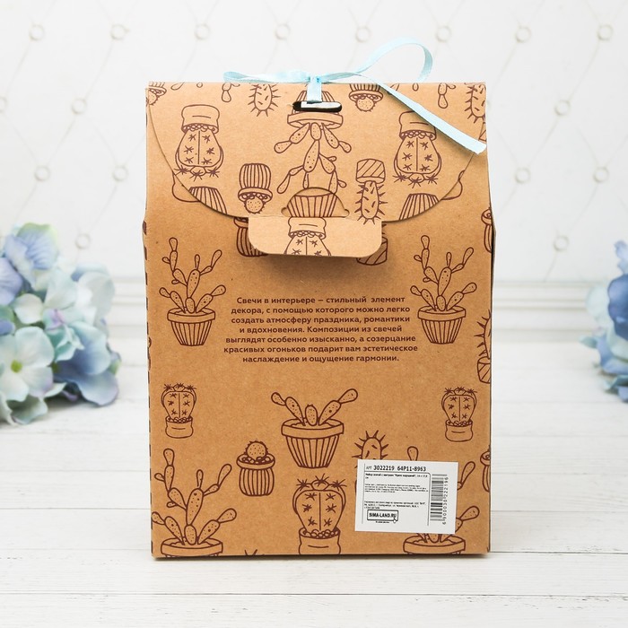 Набор свечей с кактусом "Таинственный лес", 14 х 17,5 см