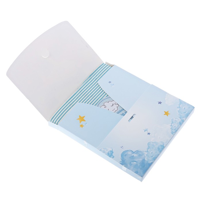 Книга малыша и чехол для бирочки из роддома "Наше маленькое счастье"