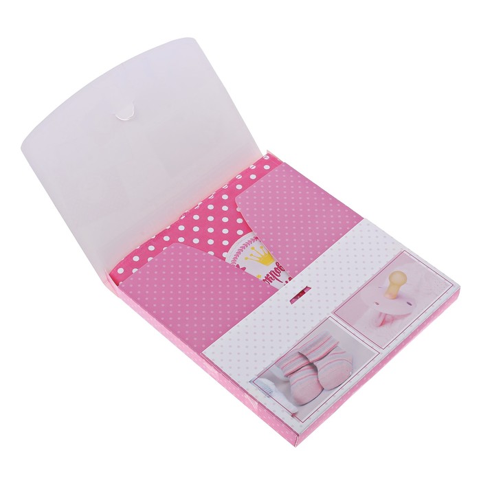 Книга малыша и чехол для бирочки из роддома "Сокровище наше"