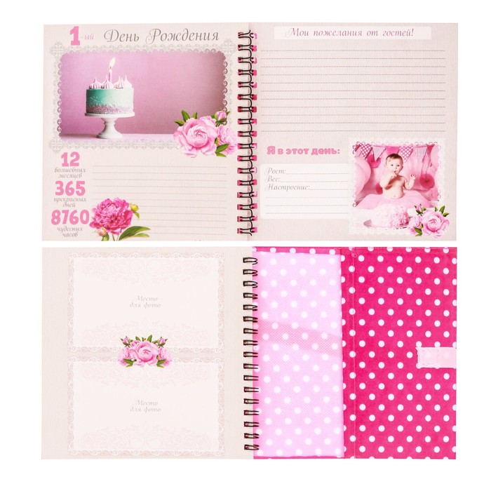 Книга малыша и чехол для бирочки из роддома "Сокровище наше"