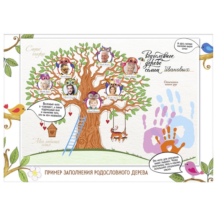 Детская родословная папка "Совы"