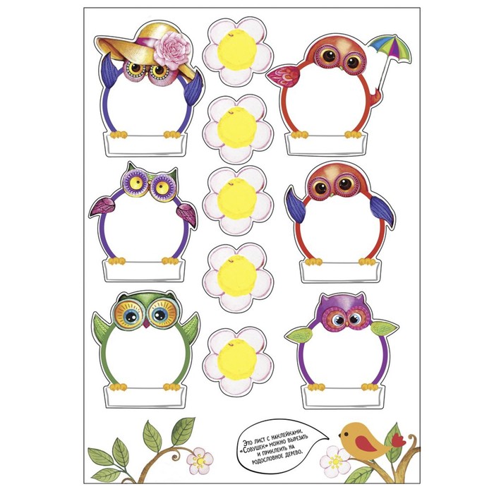 Детская родословная папка "Совы"