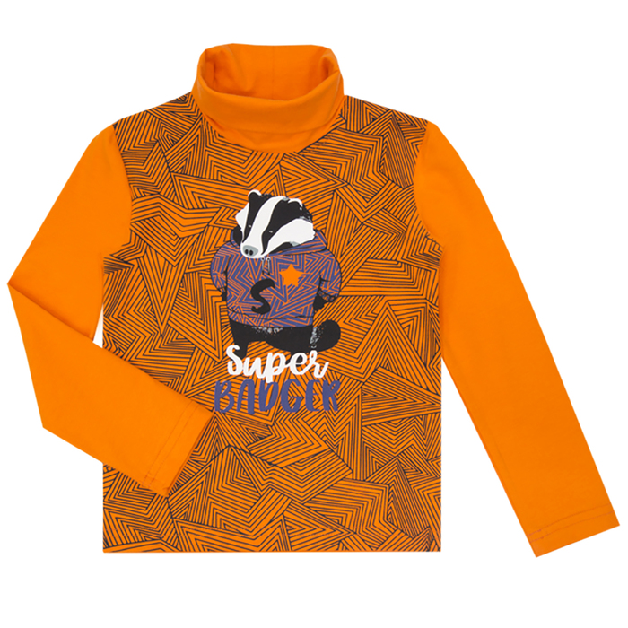 Водолазка для мальчика А.6255, оранжевый, рост 116 (60)