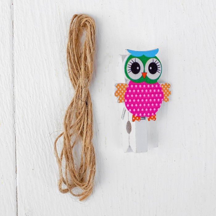 Набор для фото и декора "Совушки", в наборе прищепки 8 шт., верёвка — 100 см