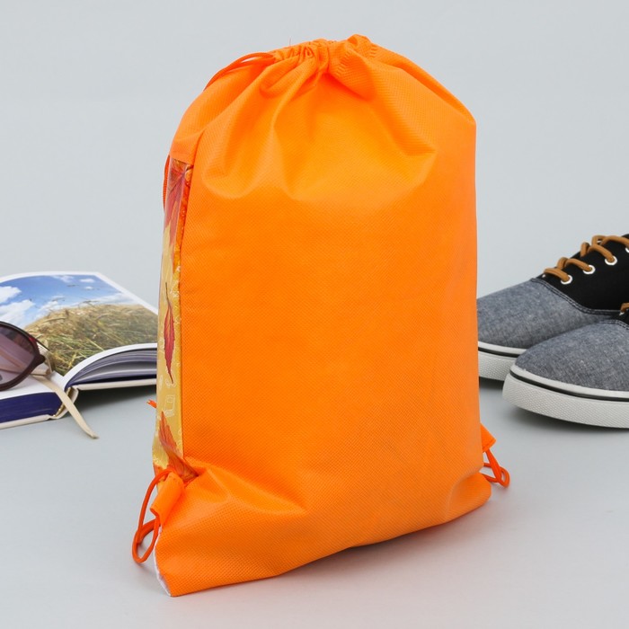 Мешок для обуви и анкета для девочек "Отличнице и умнице"