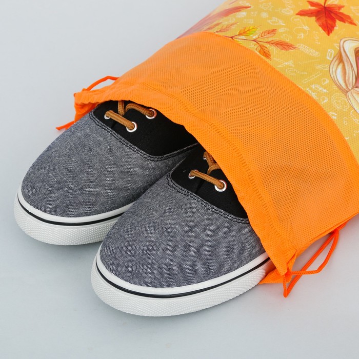 Мешок для обуви и анкета для девочек "Отличнице и умнице"