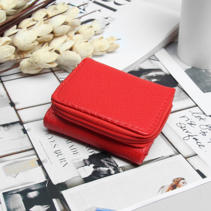 Кошелёк женский, 2 отдела на молнии, 2 отдела, для карт на клапане, цвет красный