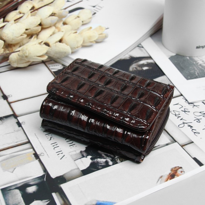 Кошелёк женский, 2 отдела на молнии, 2 отдела, для карт на клапане, цвет кофе