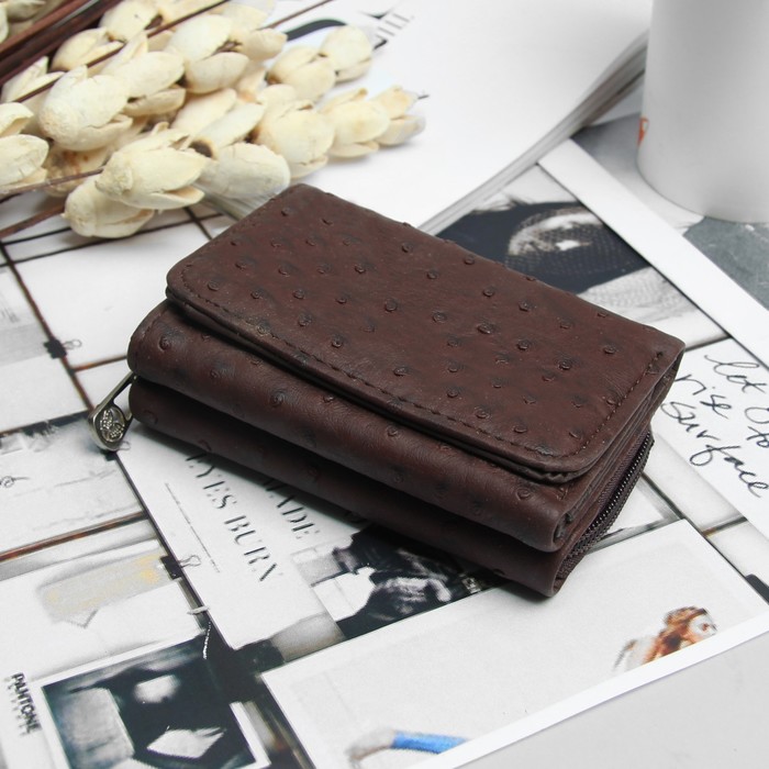 Кошелёк женский, 2 отдела на молнии, 2 отдела, для карт на клапане, цвет коричневый