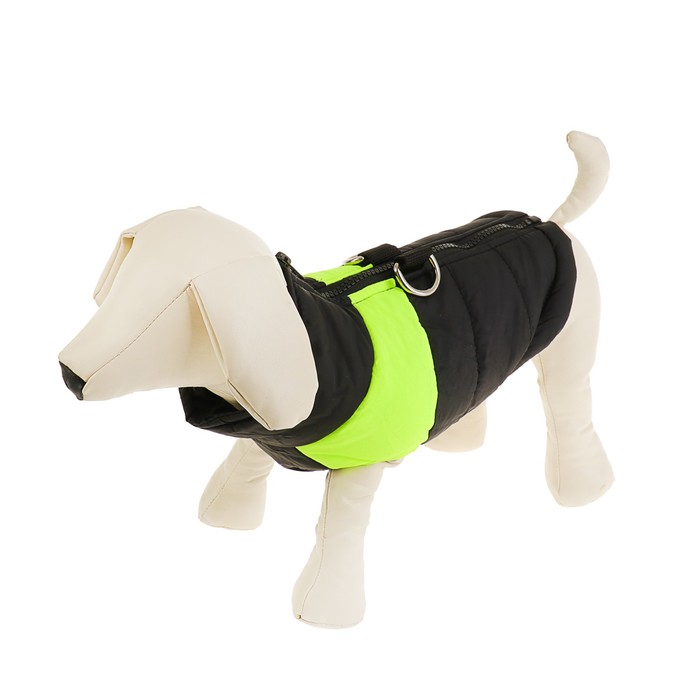 Куртка на синтепоне, размер M (ОГ 43 см, ДС 30 см), черная с зеленым