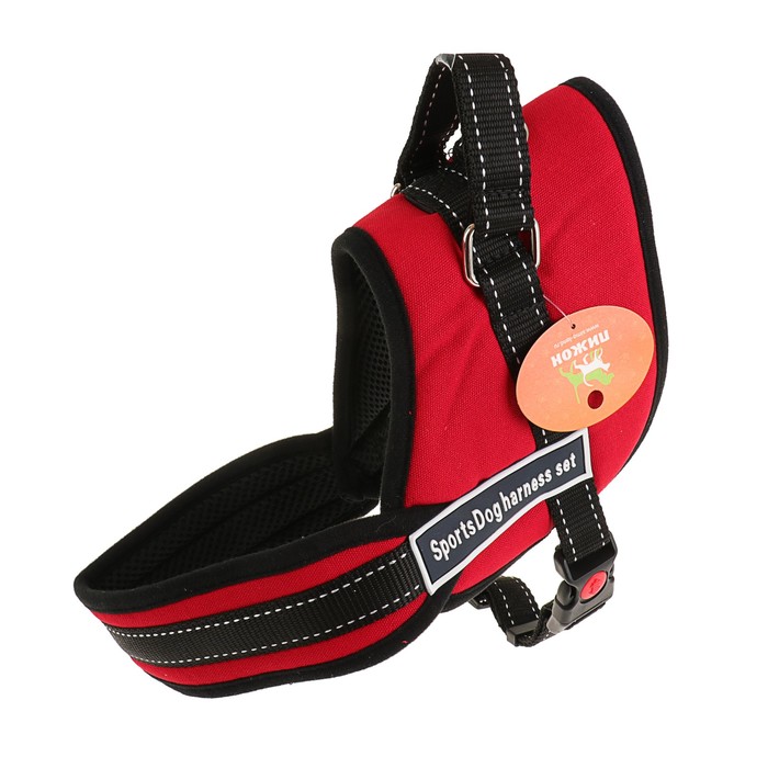 Шлейка с подкладом, размер M (ОШ 60, ОГ 62-76 см), стропа 2,5 см, красная