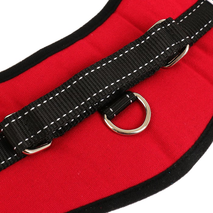 Шлейка с подкладом, размер M (ОШ 60, ОГ 62-76 см), стропа 2,5 см, красная