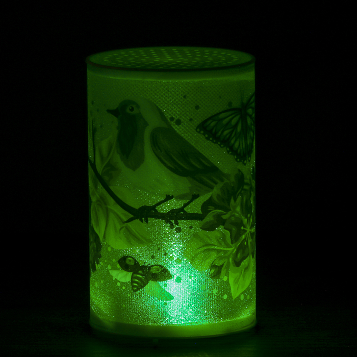 Ночник пластик "Птичка и бабочка" от батареек CR2032х1 7,1х7,1х11,3 см