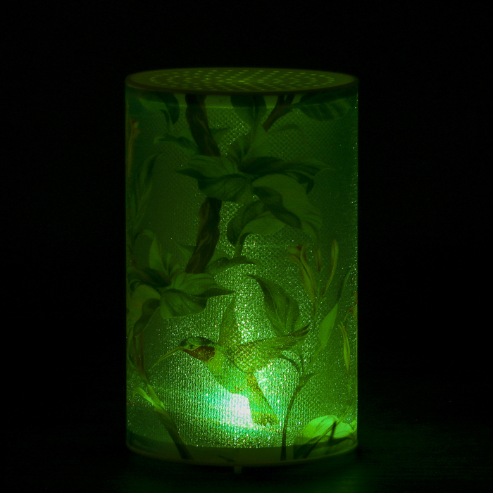 Ночник пластик "Колибри" от батареек CR2032х1 7,1х7,1х11,3 см