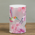 Колибри и цветы Колибри и цветы