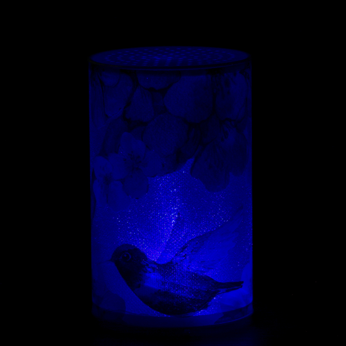 Ночник пластик "Колибри и цветы" от батареекCR2032х1 7,1х7,1х11,3 см