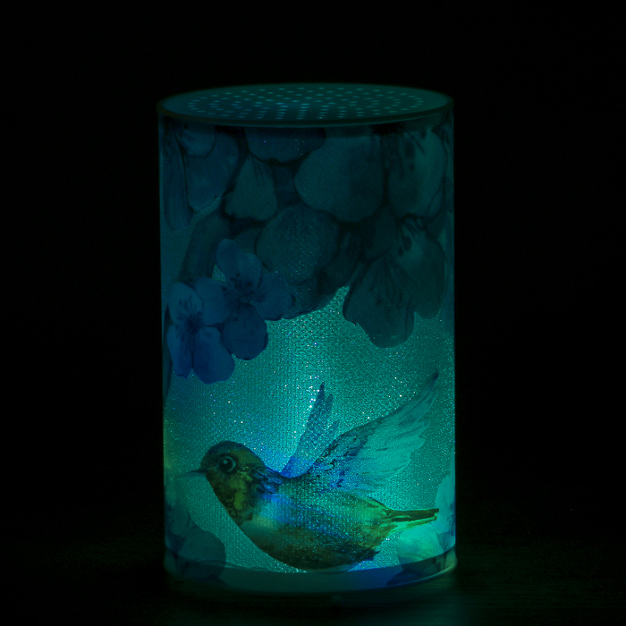 Ночник пластик "Колибри и цветы" от батареекCR2032х1 7,1х7,1х11,3 см