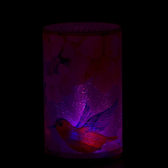 Ночник пластик "Колибри и цветы" от батареекCR2032х1 7,1х7,1х11,3 см