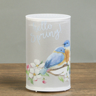 Синички Синички