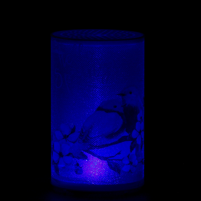 Ночник пластик "Синички" от батареек CR2032х1 7,1х7,1х11,3 см