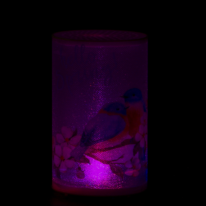 Ночник пластик "Синички" от батареек CR2032х1 7,1х7,1х11,3 см