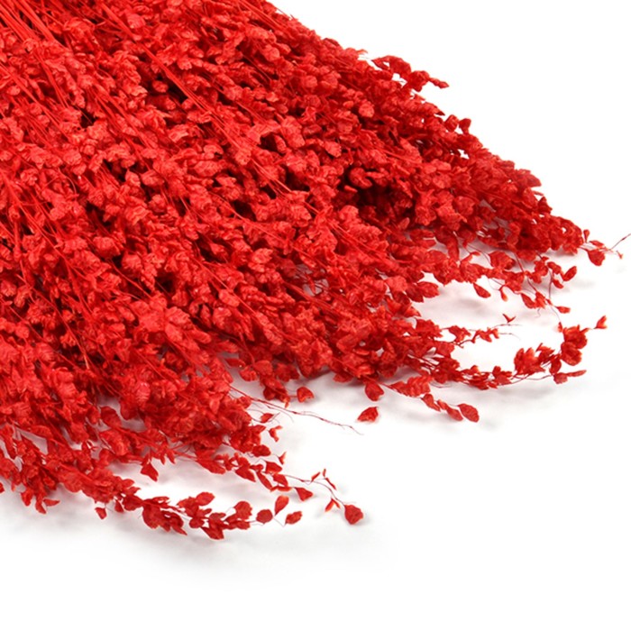 Сухоцвет, трава "Бриза максима", 100 г, 60 см, красный