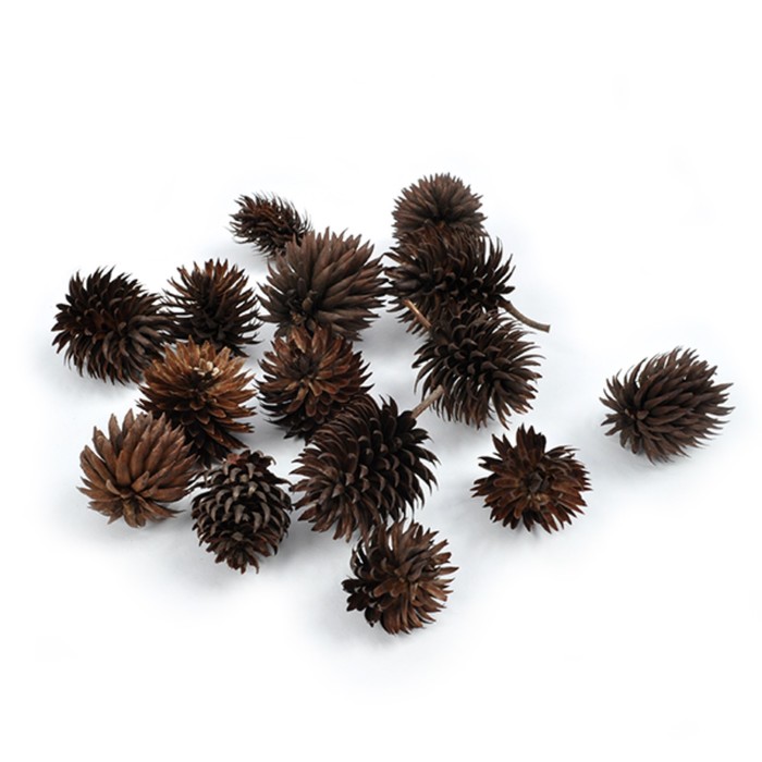 Шишки "Ворсянка" 100 г,натуральный