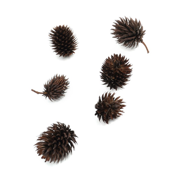 Шишки "Ворсянка" 100 г,натуральный