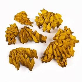 Кора растений колмиа "Корал" жёлтый 100 г от Сима-ленд