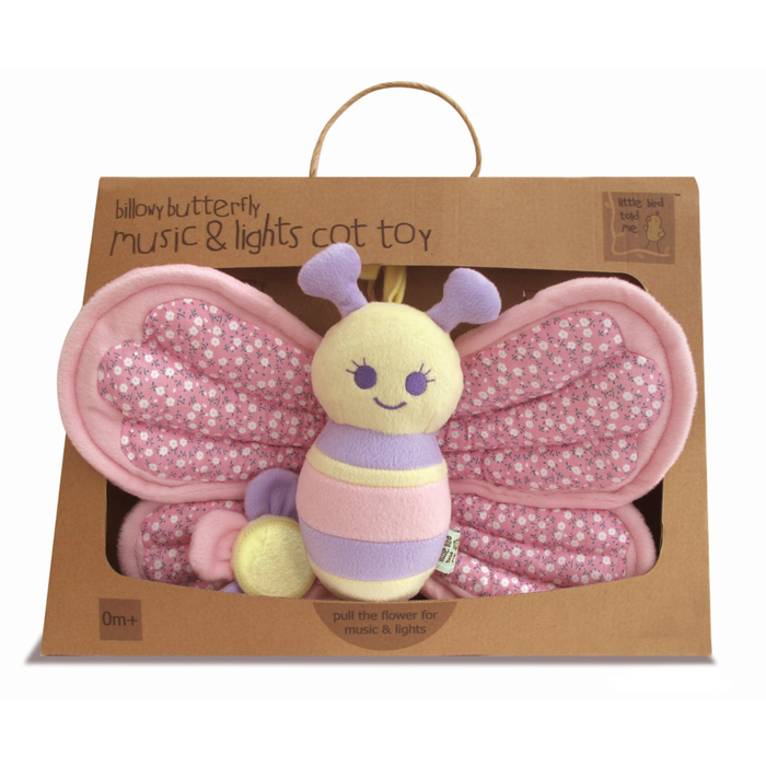 Музыкальная игрушка «Бабочка» Little Bird Told Me