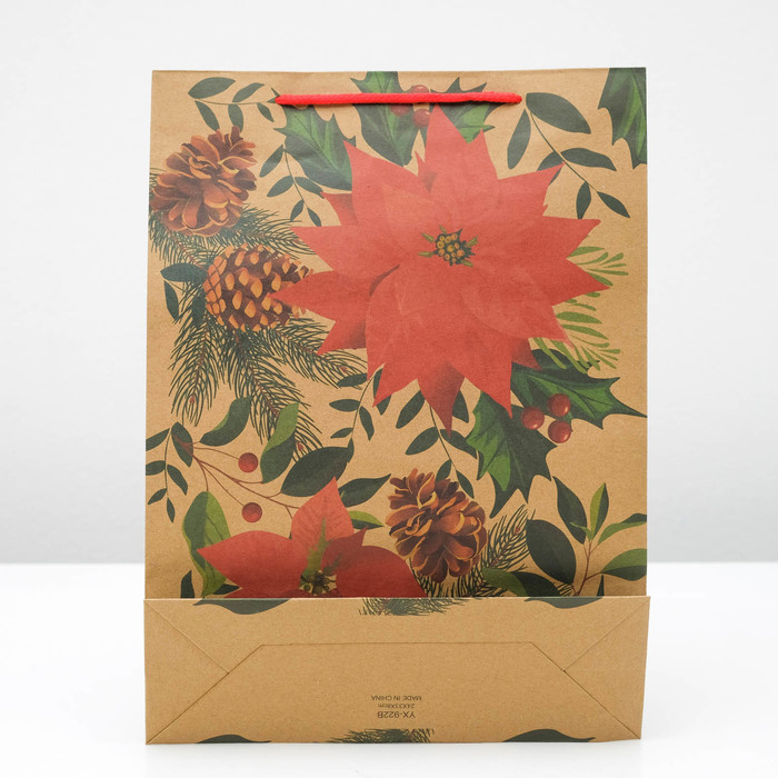 Пакет Крафт 24 х 33 х 8 см