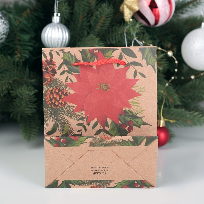 Пакет Крафт 11 х 14 х 5 см