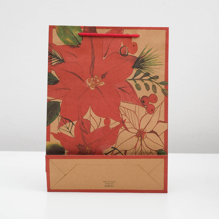 Пакет Крафт 24 х 33 х 8 см